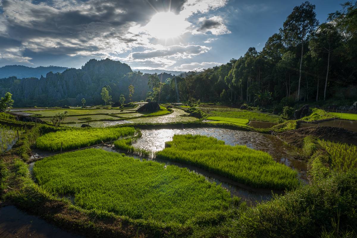 bukit karst Batutumonga