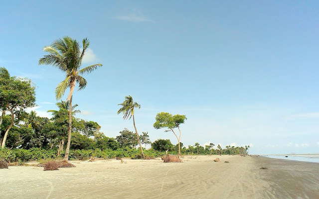 kuakata-beach-palm-trees-sea-sand