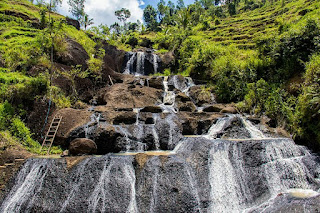 Kedung kandang