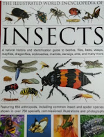 หนังสือแมลง WORLD ENCYCLOPEDIA OF INSECTS