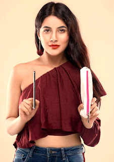actress shehnaz gill hot photo with pencil and pencil kit