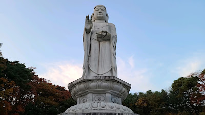 가을 단풍이 좋은 대구 동화사 : 약사여래대불