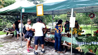 Público participa do evento ‘Estação Verão’ no Parque Municipal de Teresópolis