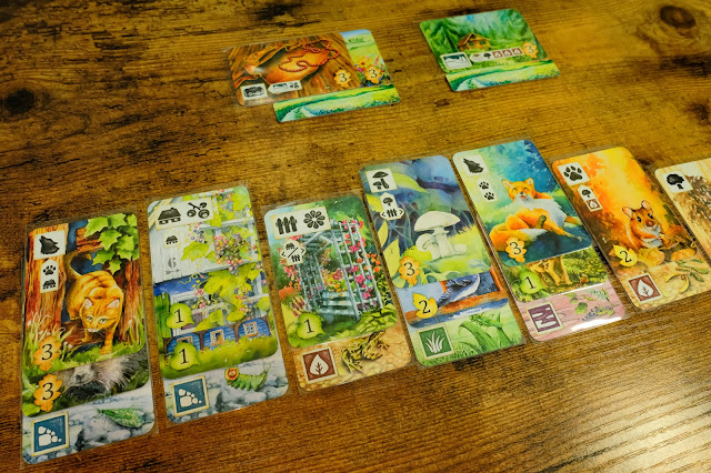 meadow board game 打牌組成一個生態圈