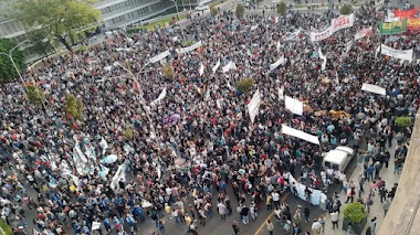 Rugieron las universidades