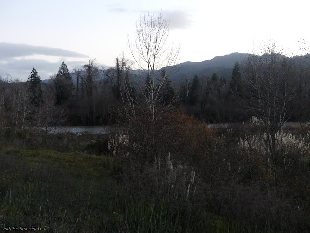 15: flats and trees beside the river