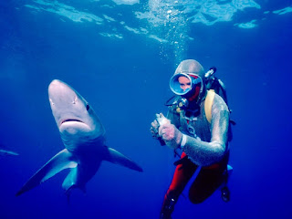 Jugando con tiburones