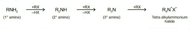 Amines Chemistry Class 12 Notes