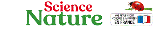 Mobile Logo