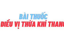 BÀI THUỐC ĐIỀU VỊ THỪA KHÍ THANG