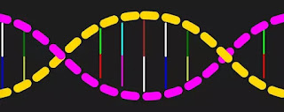 DNA