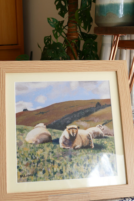 Auchenstroan Review, Auchenstroan sheep, Auchenstroan farm, Auchenstroan pictures, sheep painting uk, sheep framed prints