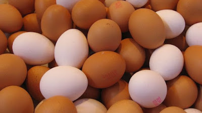 Egg Production