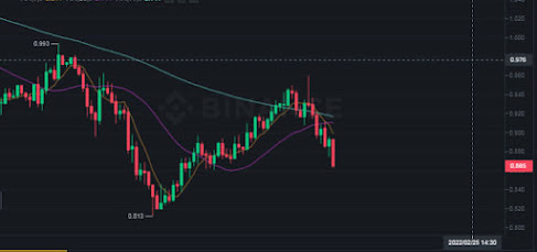 Cardano holders remain bullish on ADA despite price drop