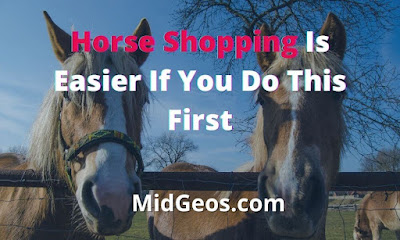 Horse Shopping Is Easier If You Do This First