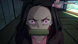 鬼滅の刃アニメ 23話 | Demon Slayer 竈門禰豆子 Kamado Nezuko CV.鬼頭明里