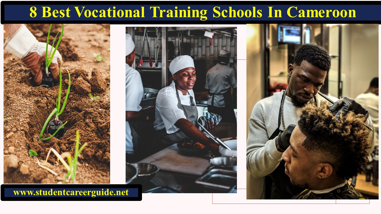 8 Best Vocational Training Schools In Cameroon
