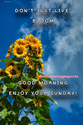 Don't just live,  bloom  Good Morning  Enjoy your Sunday!