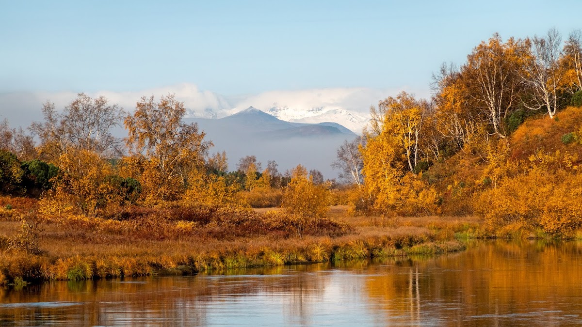 Природа и природный пейзаж в фотографиях