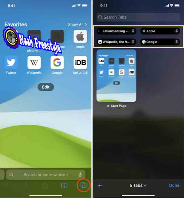 انظر علامات التبويب المثبتة في Safari على iPhone