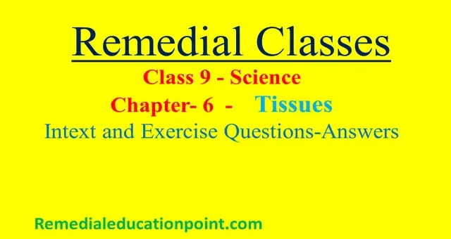 NCERT Solutions of Class 9 Chapter 6