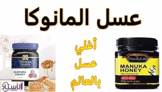 Manuka-honey-benefits-and-side-effects