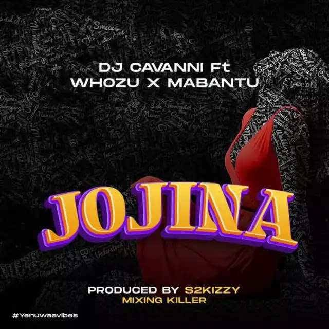 Dj cavanni ft Whozu X Mabantu – Jojina | Download