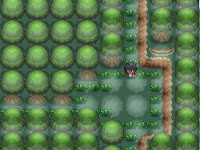 Pokemon and the Tower of Power Screenshot 02