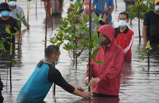 Jokowi Tanam Mangrove di Batam Didampingi Kapolda Kepri