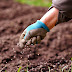 Soil & Methods Of Soil Sampling (Water Retention In Soil)