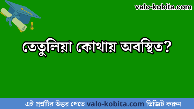 তেতুলিয়া কোথায় অবস্থিত?