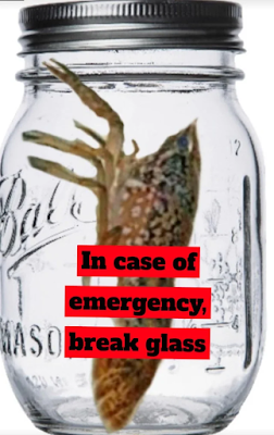 Marmorkrebs in glass jar labelled, "In case of emergency break glass"