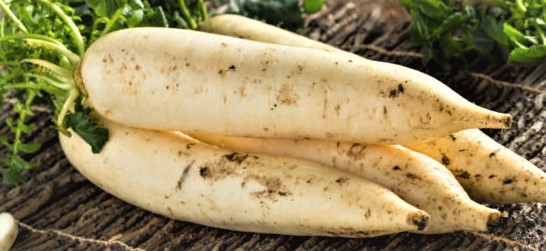 Radish or white radish or winter radish is the root of a plant used as a vegetable.