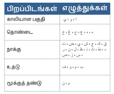 அரபு எழுத்துக்களின் பிறப்பிடங்கள்