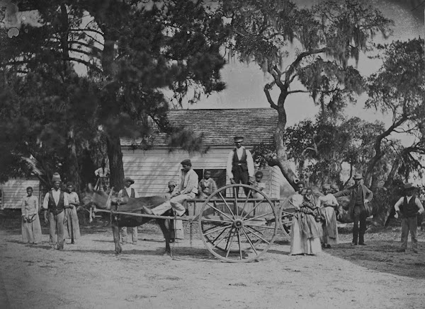 Imagen 519A | La plantación de James Hopkinson, Carolina del Sur, ca. 1862. | Henry P. Moore / Dominio público
