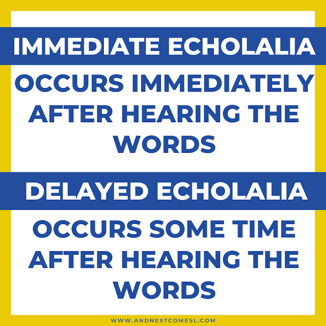Immediate echolalia vs delayed echolalia