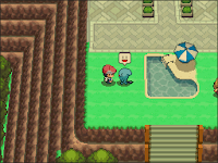 Pokemon Following Platinum Screenshot 10