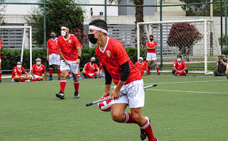 QUIDDITCH: CONOCE UN POCO MÁS DE ESTE DEPORTE