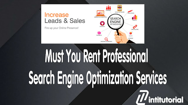 Must You Rent Professional Search Engine Optimization Services
