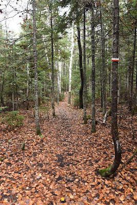 Sentier Transcanadien Charlevoix Quebec.