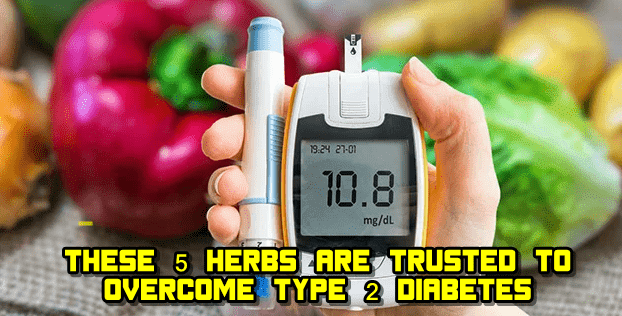 These 5 Herbs Are Trusted To Overcome Type 2 Diabetes