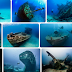 Top Wreck Scuba Diving in The world