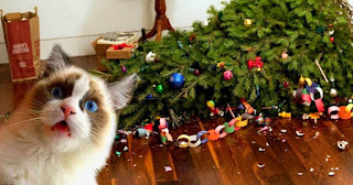 ¿Pueden coexistir los gatos y los árboles de Navidad?