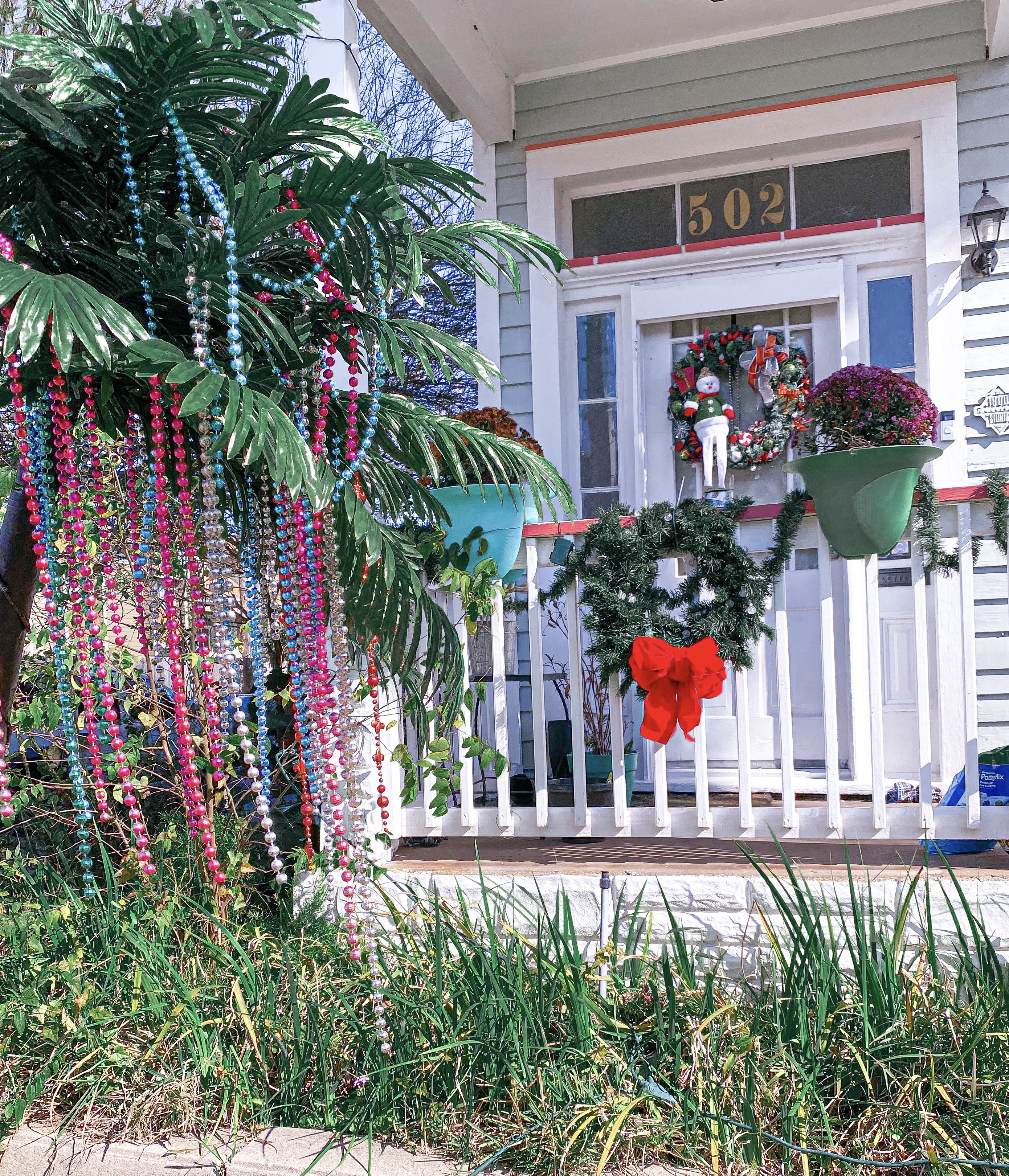 Mardi Gras Palm Tree in Galveston