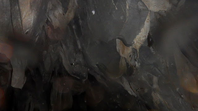 inside the St. Paul Cave and Underground River also known as Puerto Princesa Underground River