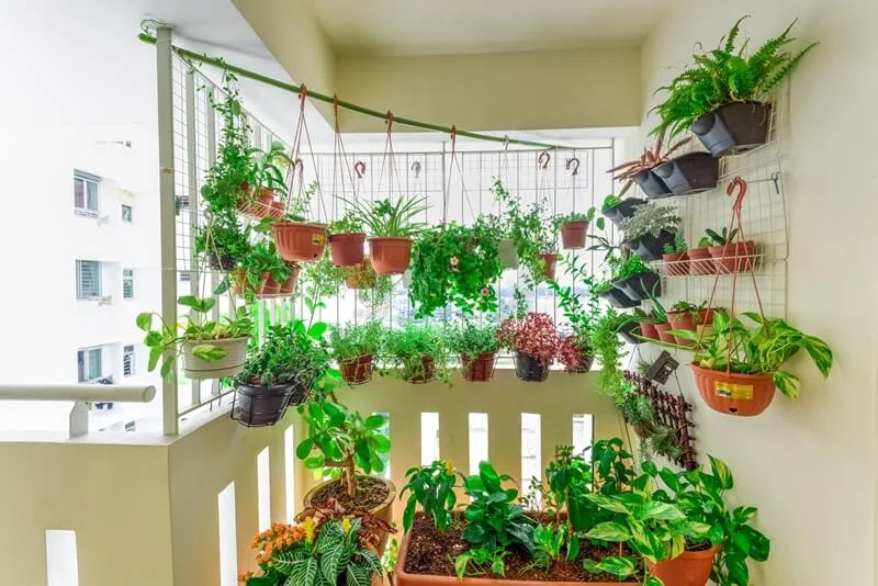 Como cultivar horta em apartamento