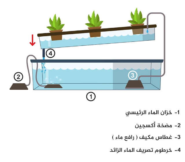 رسم توضيحي لنظام الزراعة المائية