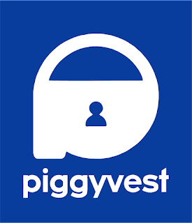 picture of piggy vest