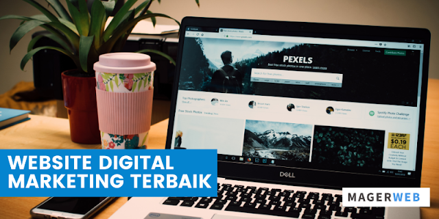 tips memilih website digital marketing