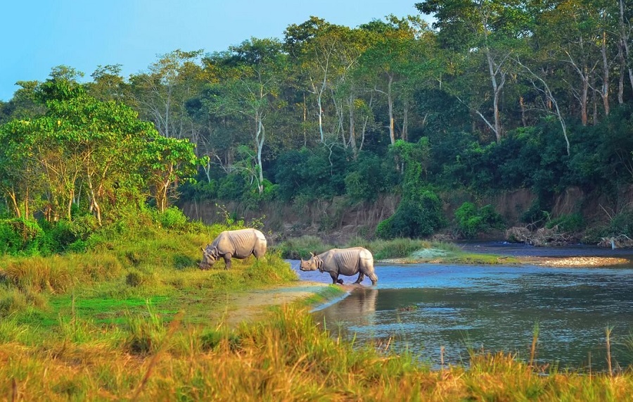 Chitwan National Park